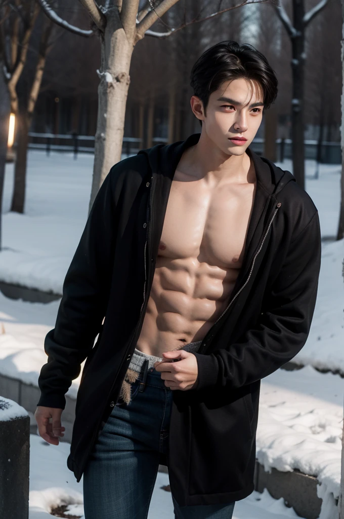 Handsome male,Big Muscle,short hair,Soft lighting dark academic,clothing,outdoor,winter