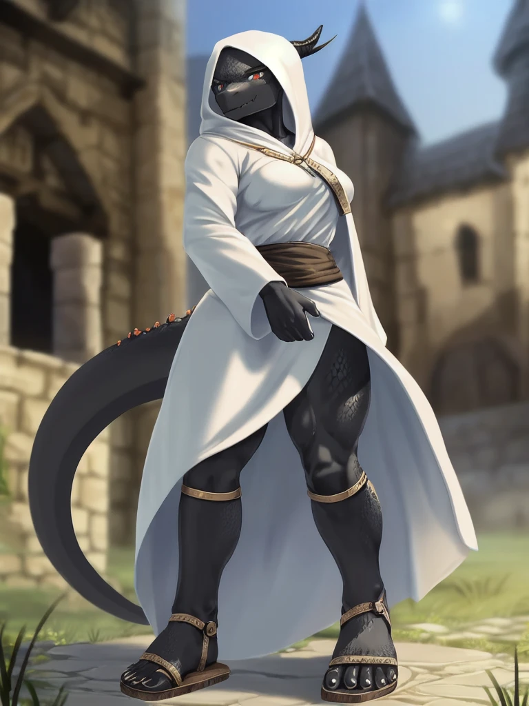 solo, kemono, (dragon), anthro, female, ((black body)), scales, tail, muscles, medium breasts beautiful feet, maxi skirt, hooded cloak, white robes, medieval, fantasy, outdoors, outside, toe claws, strap leather sandals, leg guards, epic, depth of field, perfect lighting,(best quality),(masterpiece),(ultra detailed)