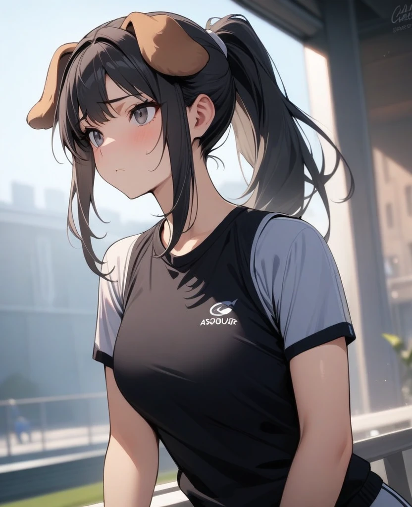 masterpiece, best quality, very aesthetic, absurd, up to date,1 Girl, (calm，Indifferent，calm),Black hair，Long hair，ponytail，look， Dog ears
，Gray Highlights，Black pupil，Sports vest，Capable