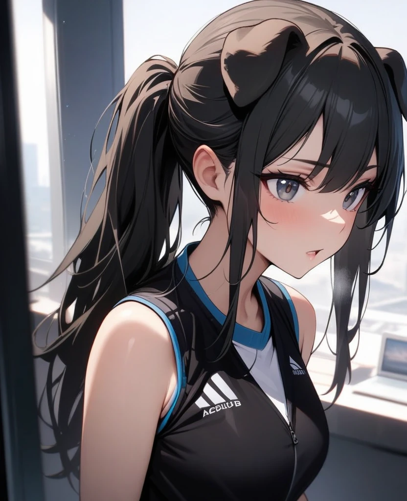 masterpiece, best quality, very aesthetic, absurd, up to date,1 Girl, (calm),Black hair,Long hair,ponytail,look, Dog ears
,Gray Highlights,Black pupil,Sports vest,Capable