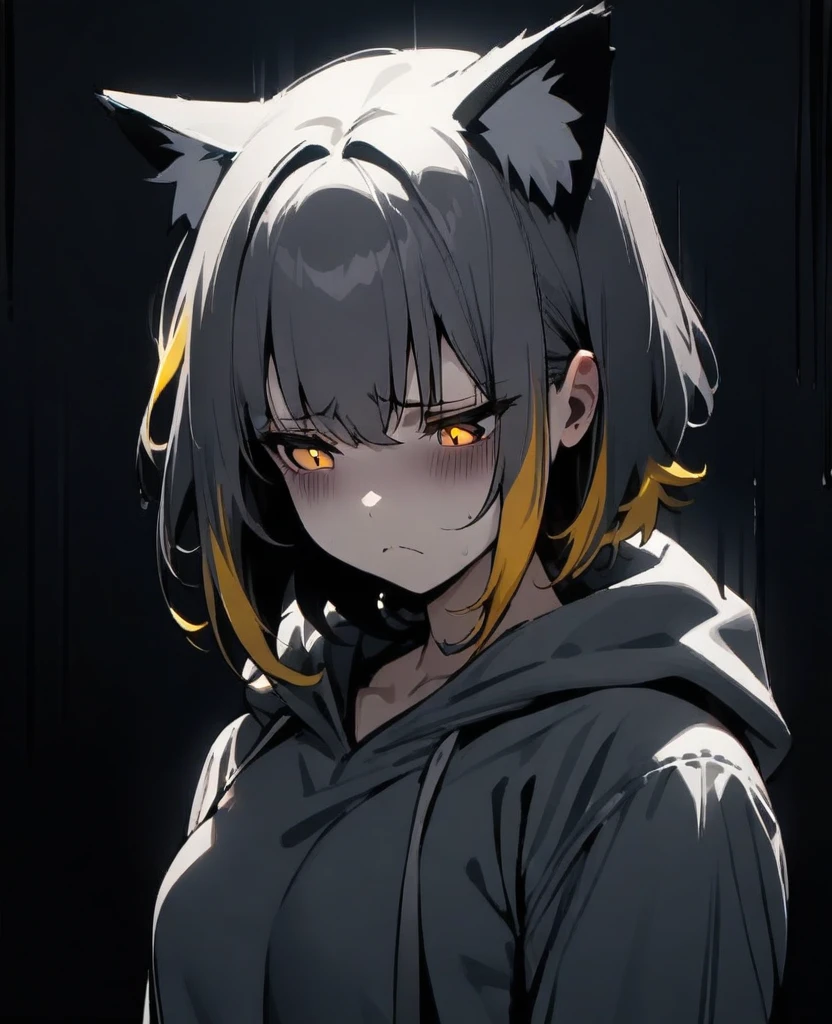 masterpiece, best quality, very aesthetic, absurd, up to date,1 Girl, (Melancholy,gloomy,Homegirl,Shadowed side,frown),
Dark grey hair, Multi-colored hair,short hair, Grey hooded shirt,Cat ear,Yellow pupils