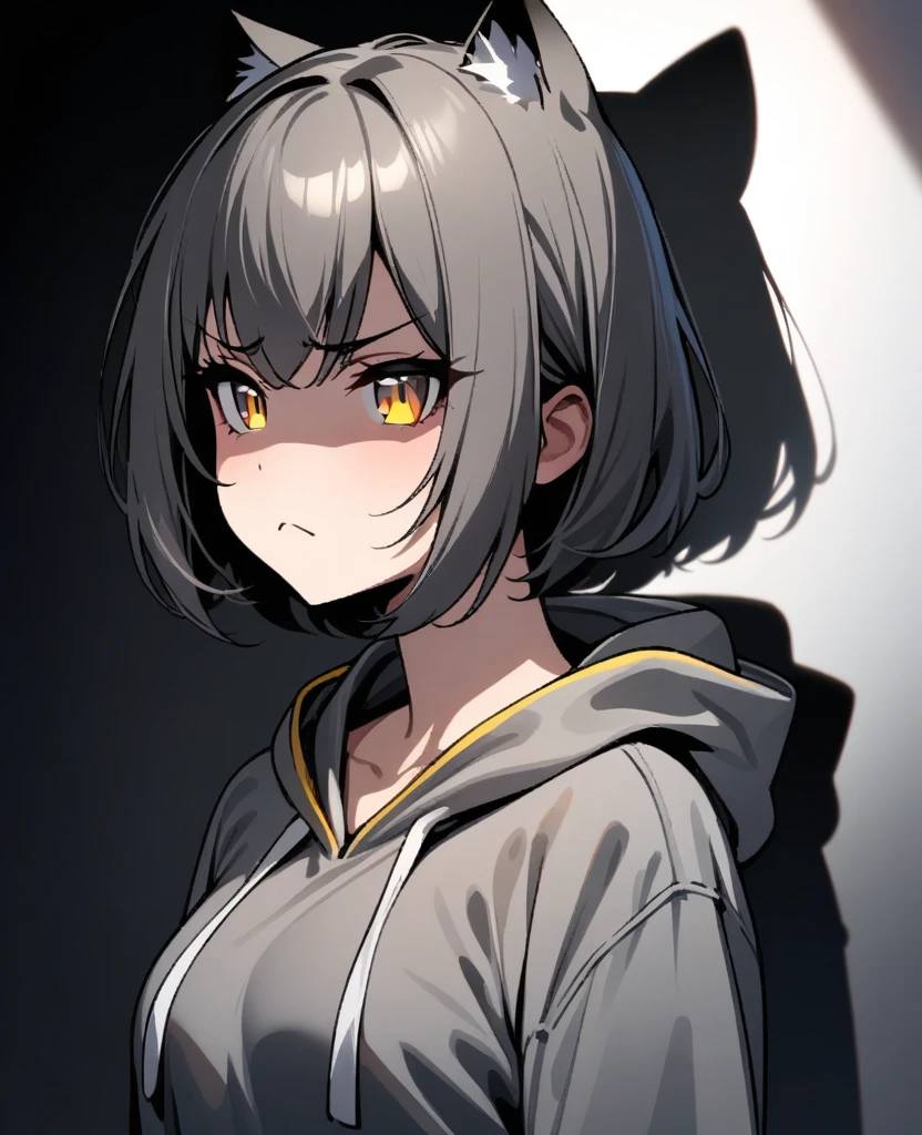 masterpiece, best quality, very aesthetic, absurd, up to date,1 Girl, (Homegirl,Shadowed side,frown),
Dark grey hair, Multi-colored hair,short hair, Grey hooded shirt,Cat ear,Yellow pupils