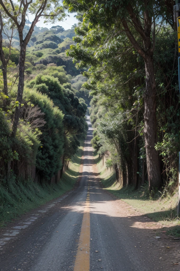 estrada de dois caminhos