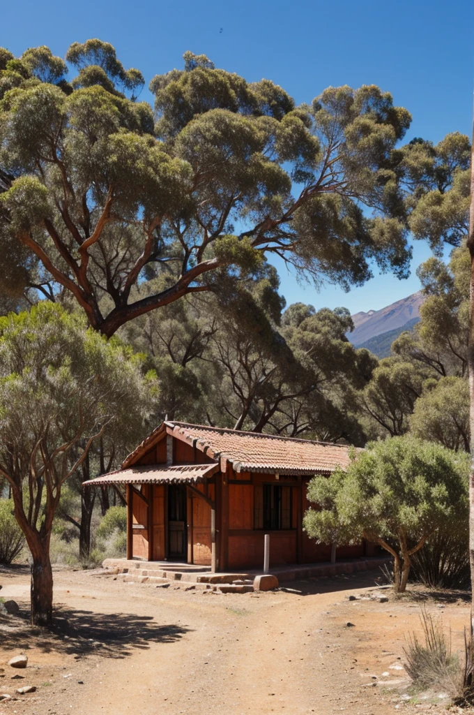 old Chilean checkpoint on a mountain with eucalyptus trees around