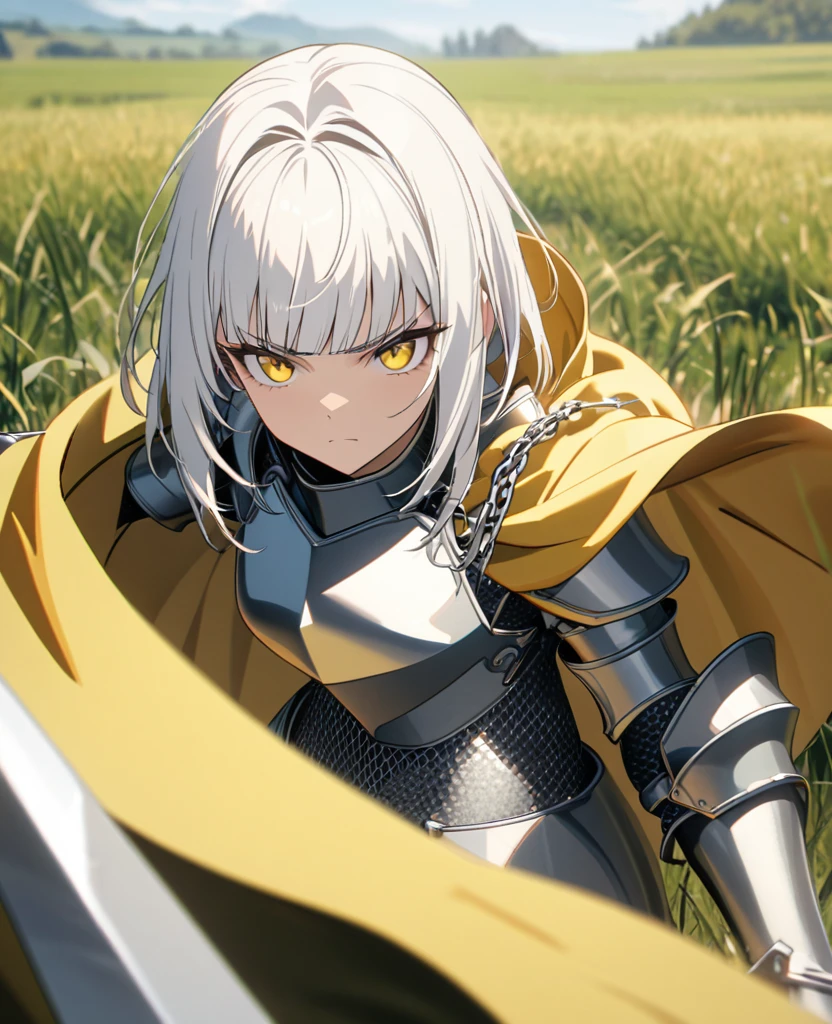 Young woman, perfect anatomic draw, perfect eyes, short white hair, yellow eyes, serious face, straight bangs down, knight silver armor, chain mail, silver sword, brave pose, in the field, day, yellow cape, 8k, high quality, full HD.