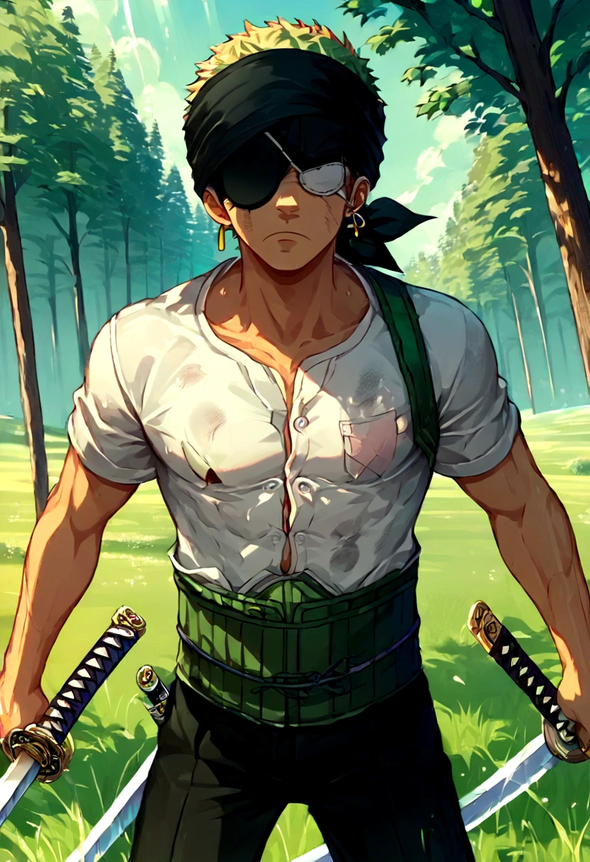 score_9, score_8_up, score_7_up, BREAK, source_anime, 1boy, roronoa zoro, solo, male focus,black bandana, white shirt, short sleeves, black pants, single earring, holding two swords, sword, katana, field, forest, serious, (covered eyes, eye patch), anime screenshot, anime screencap, anime coloring, dramatic composition, cinematic lighting, (masterpiece, best quality, Professional, perfect composition, very aesthetic, absurdres, ultra-detailed, intricate details:1.3)