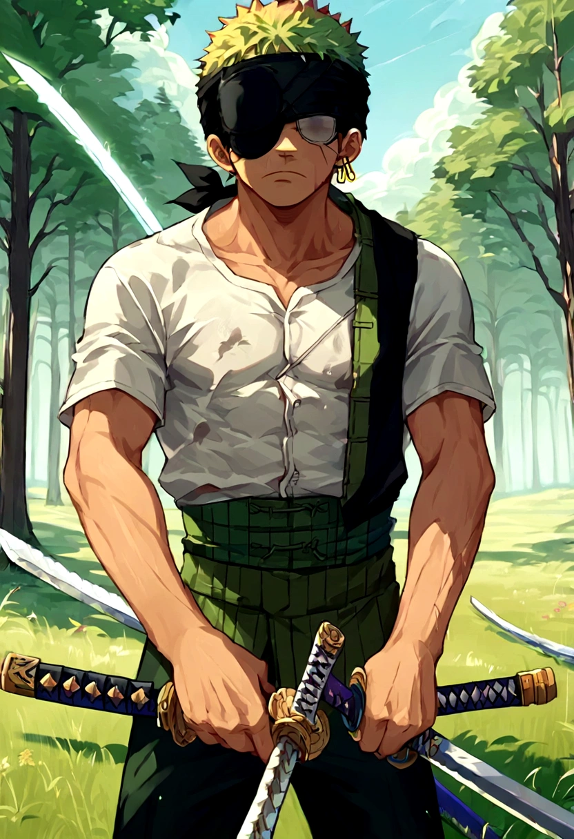 score_9, score_8_up, score_7_up, BREAK, source_anime, 1boy, roronoa zoro, solo, male focus,black bandana, white shirt, short sleeves, black pants, single earring, holding two swords, sword, katana, field, forest, serious, (covered eyes, eye patch), anime screenshot, anime screencap, anime coloring, dramatic composition, cinematic lighting, (masterpiece, best quality, Professional, perfect composition, very aesthetic, absurdres, ultra-detailed, intricate details:1.3)