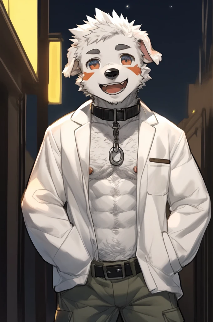 ((From milkytiger1145,author:dendryte axxon)),
hairy,Beast field,anthropology,
Smile,((teeth)),((Laughing)),(((open mouth))),
Delicate eyes,absurd Delicate eyes,
permanent,(Front view:1.2),(((Hands in pockets))),5 fingers,
(young people,Handsome,Big eyes),
( Male dogs),Big long dog ears,(Gray ears),(Light grey mouth and black nose:1.3),Light grey muzzle,(Light gray hands:1.2),
Modern city at night,Medium shot,
Just wear this white coat,No zipper,Lean,Eight-pack abs,Silver Nipple Ring,Black collar
Look at the audience,