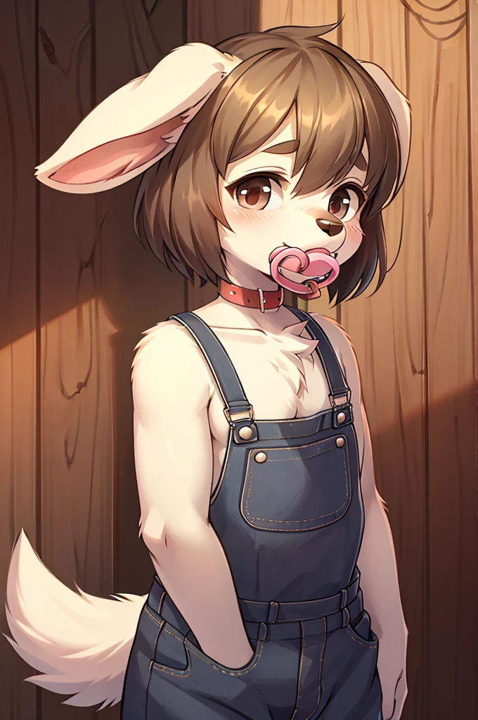 small puppy boy, grey, pacifier, floppy ears, overalls