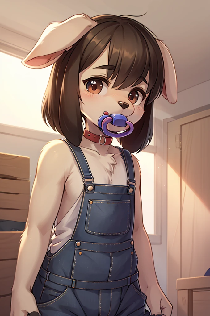 small puppy boy, grey, pacifier, floppy ears, overalls