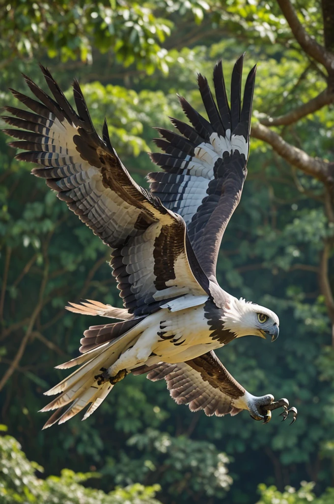 a harpy eagle in the form of a flying pokemon