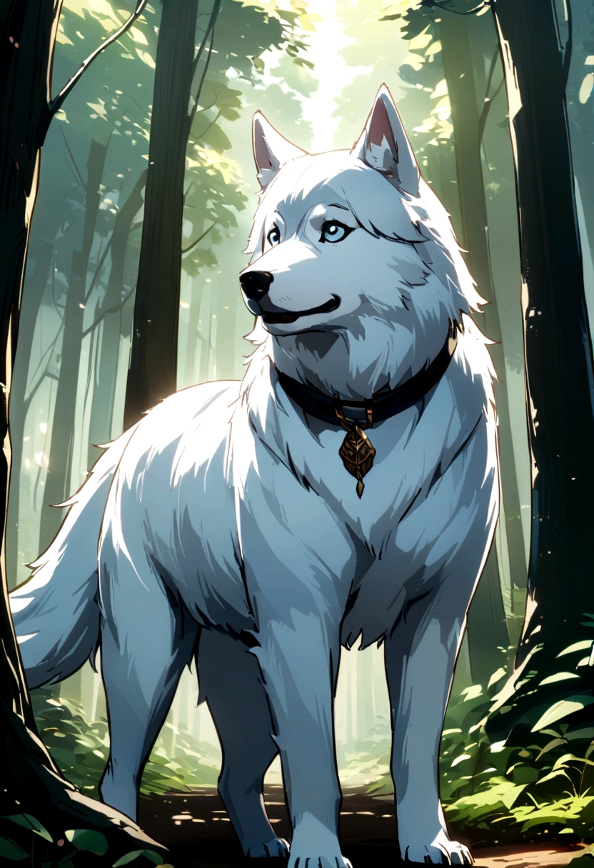 White dog riding on a white Siberian husky in the forest.Rin々A good appearance