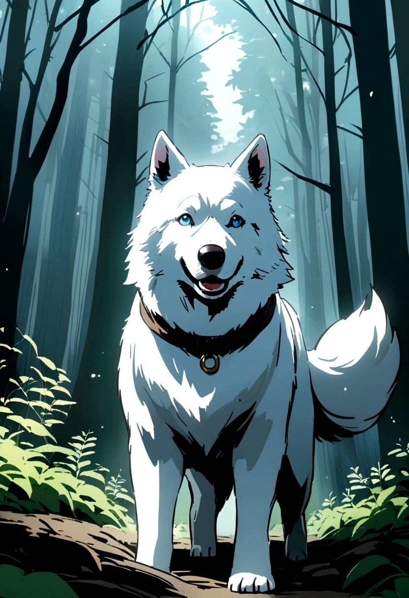 White dog riding on a white Siberian husky in the forest.Rin々A good appearance