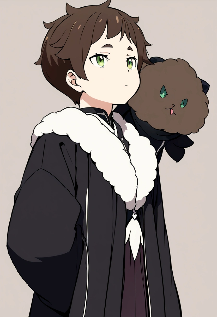 Masterpiece, High quality, High quality of art, best quality, best details, anime lineart, Re:Zero art style, 1boy, boy teenager, fluffy dark brown hair, green-brown eyes color, Tall stature, black cultist robe