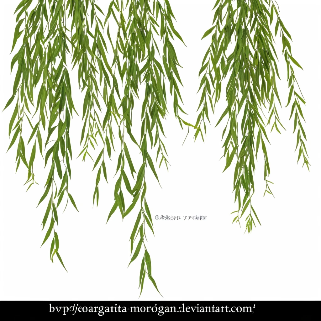 There is a white arrow pointing to the right side of the tree, Super detailed branches and plants, overgrown leaves, Greenery, vegetation, branches and foliage, stylized vegetation, Spriggans, megascan texture, Asymmetry, Tangled Leaves, Rubia cordifolia, evergreen branches, huge, Large scan texture
