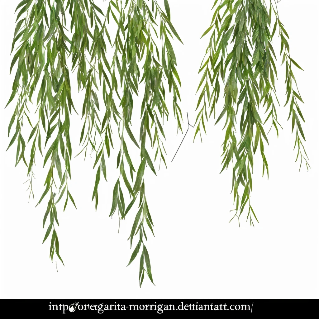 There is a white arrow pointing to the right side of the tree, Super detailed branches and plants, overgrown leaves, Greenery, vegetation, branches and foliage, stylized vegetation, Spriggans, megascan texture, Asymmetry, Tangled Leaves, Rubia cordifolia, evergreen branches, huge, Large scan texture