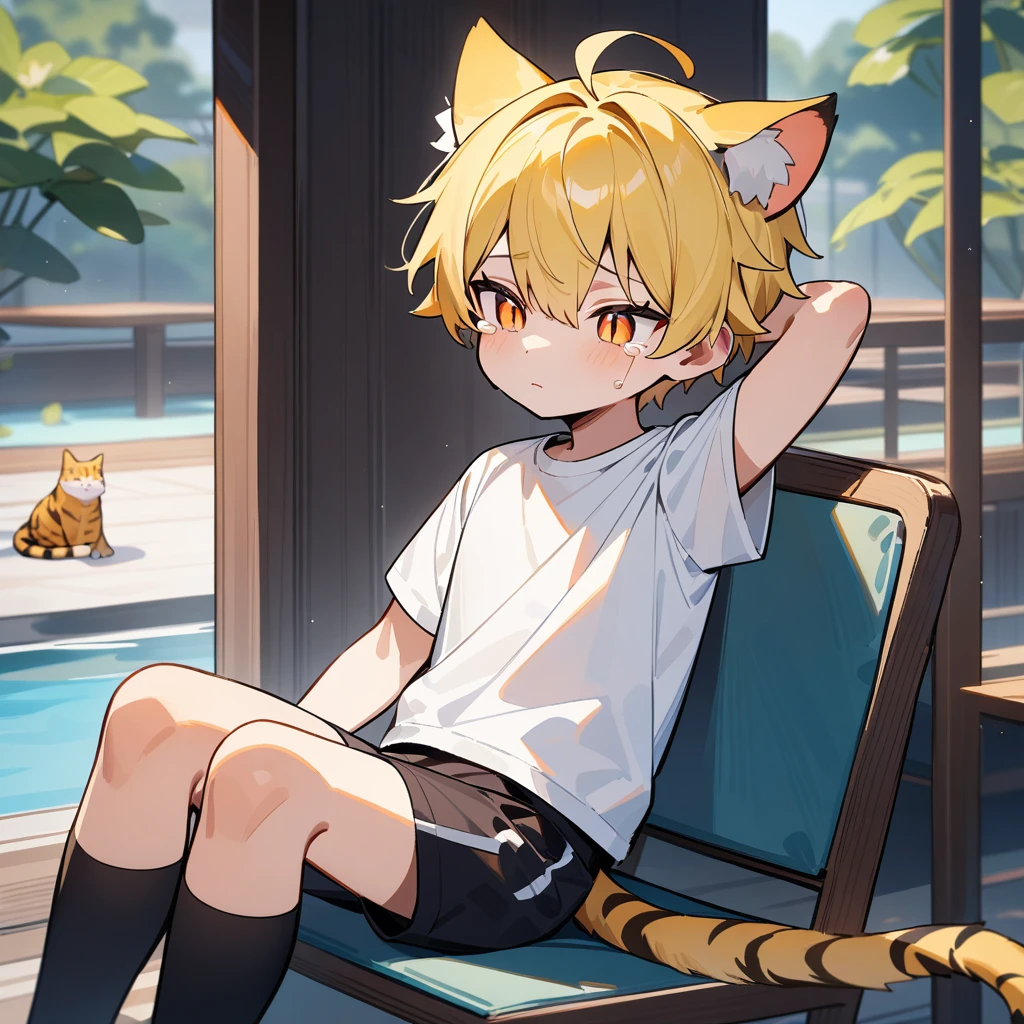 （masterpiece：1.2，high quality），8K，High resolution，A -yeld boute boy，yellow hair，short hair，orange eyes，slit pupils， ahoge，cat ears，expressionless eyes，tears，Wear a white short-sleeved T-shirt，Black sports shorts，sit on the chair，Sit in the pavilion，Next to the pool，Lotus blossoms，thigh，tiger tail，alone，Put your hands behind your head