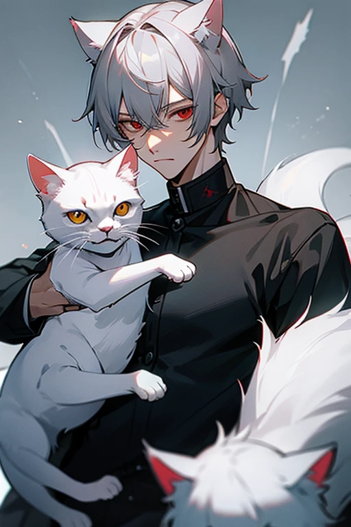 male、Gray Hair、Short Hair、Red Eye、Cold-blooded man、Handsome、White cat ears、An expression that I can&#39;t understand、Stern face、A little embarrassing、White Tail、Black long sleeve shirt、Black trousers、