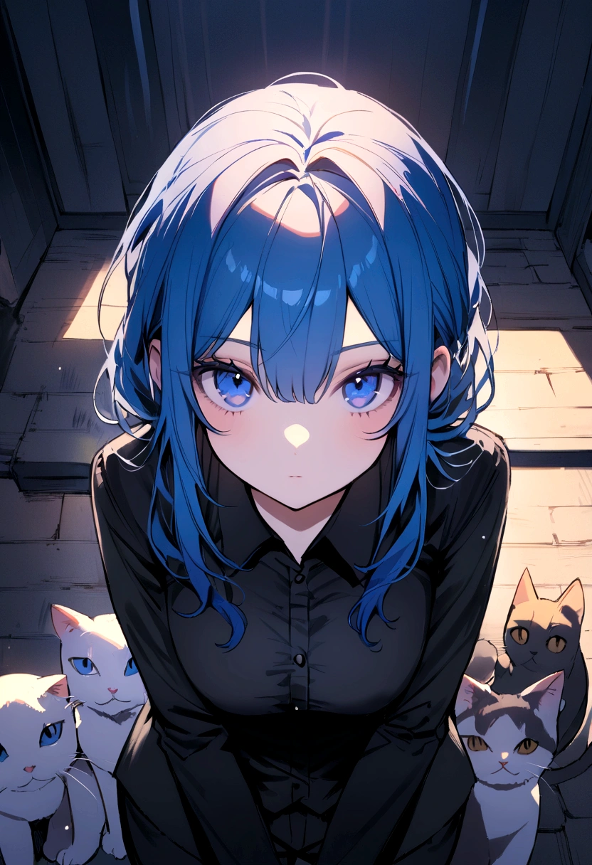 (Highest quality)(1 woman,single,blue hair,blue eyes ,Black suit shirt,Turn to look at the viewer,with guardian cat)