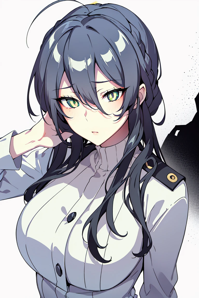 Beautiful coloring art, gray hair, flat color, cat ears