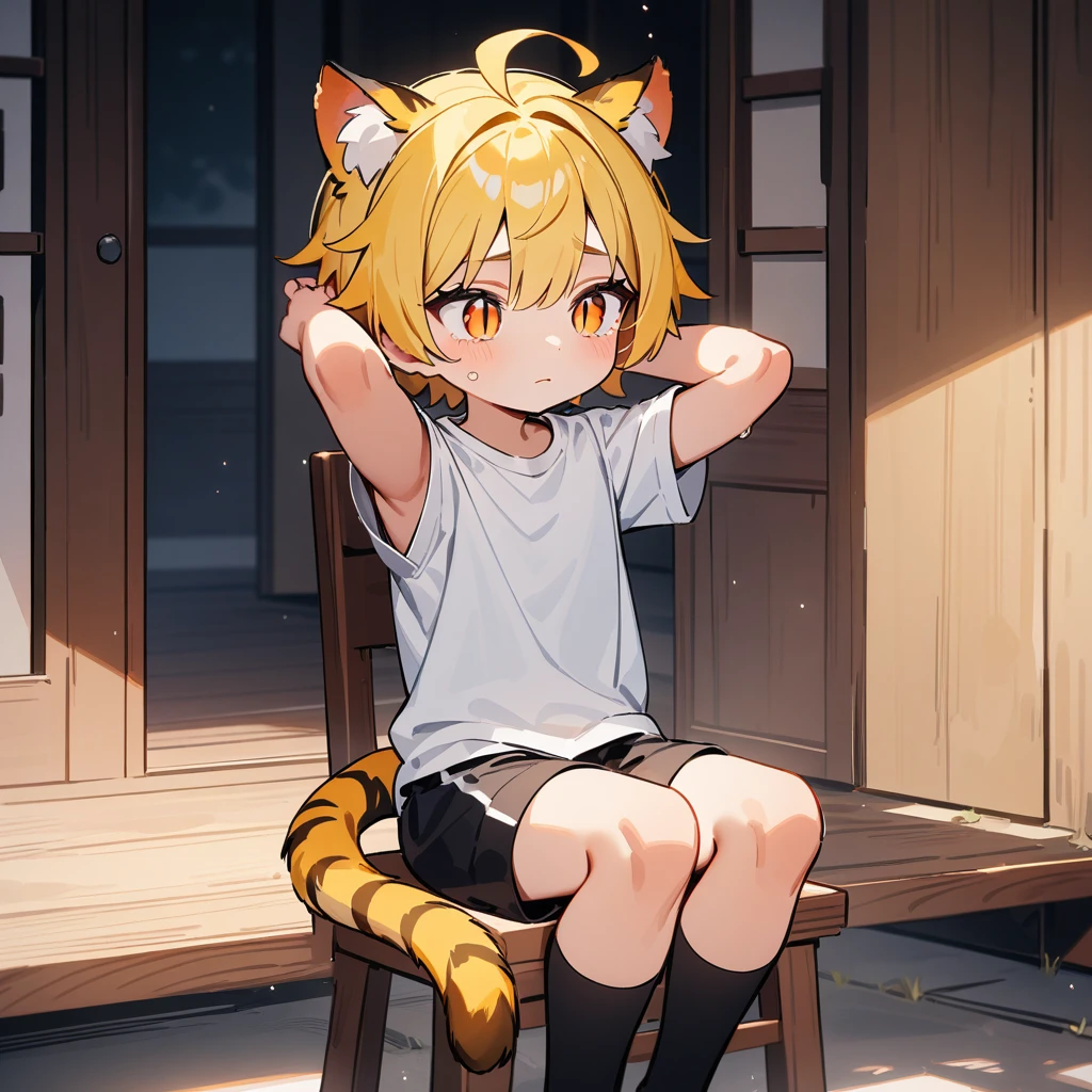 （masterpiece：1.2，high quality），8K，High resolution，A 7 year old boy，cute boy，yellow hair，short hair，orange eyes，slit pupils， ahoge，cat ears，expressionless eyes，tears，Wear a white short-sleeved T-shirt，Black sports shorts，sit on the chair，Sit in the pavilion，thigh，Black socks，tiger tail，alone，Put your hands behind your head