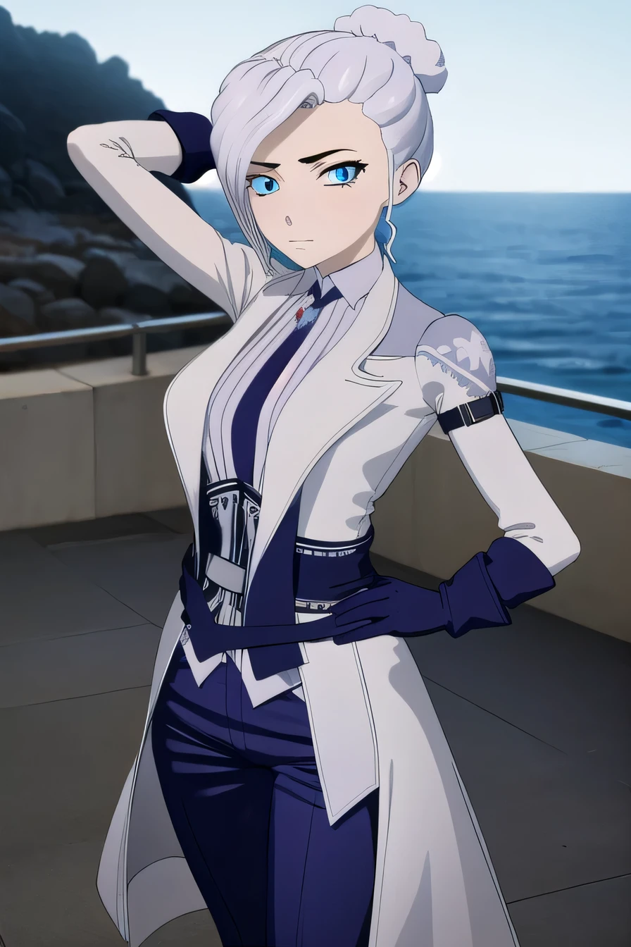 winterschnee, blue eyes, white hair, hair bun, single hair bun,
BREAK gloves, boots, necktie, black gloves, belt, pants, black footwear, uniform, high heels, coat, blue pants, knee boots, black necktie, high heel boots, white coat,
 high quality, solo, 1girl, night sky, beach, arms behind head, (contrapposto), closed mouth, spread armpits, (cowboy shot:1.5), looking at viewer, smirk, best quality,
BREAK (masterpiece:1.2), best quality, high resolution, unity 8k wallpaper, (illustration:0.8), (beautiful detailed eyes:1.6), extremely detailed face, perfect lighting, extremely detailed CG, (perfect hands, perfect anatomy),