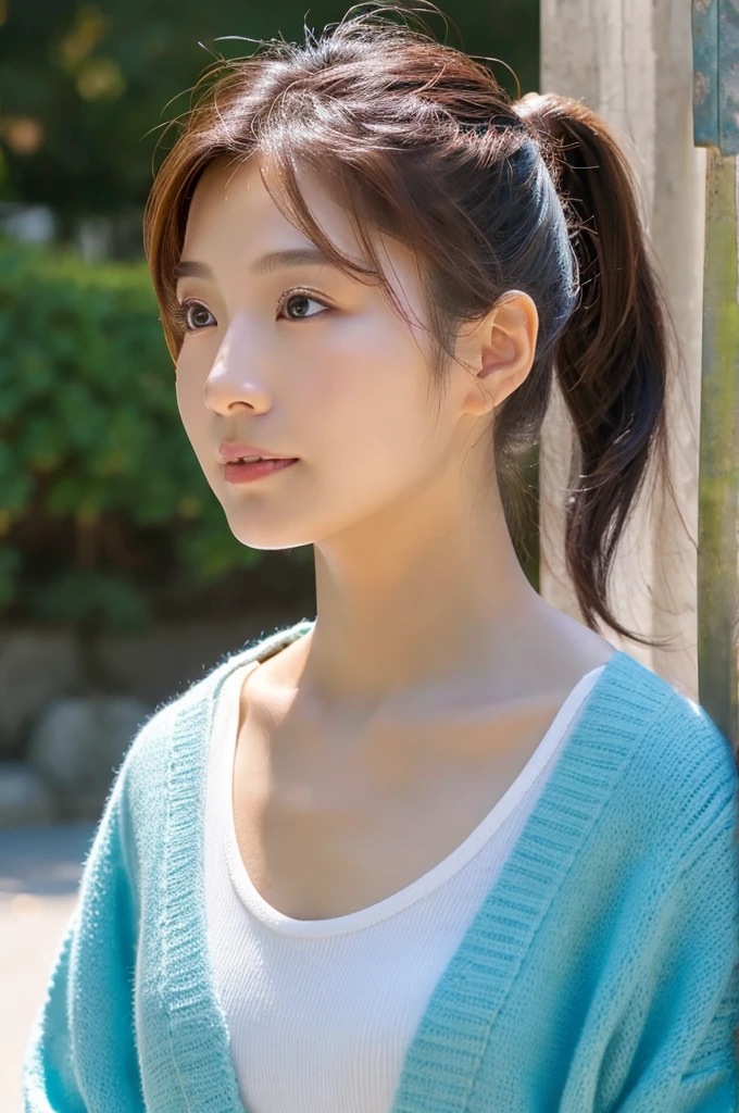 Japanese,20th Generation,ponytail