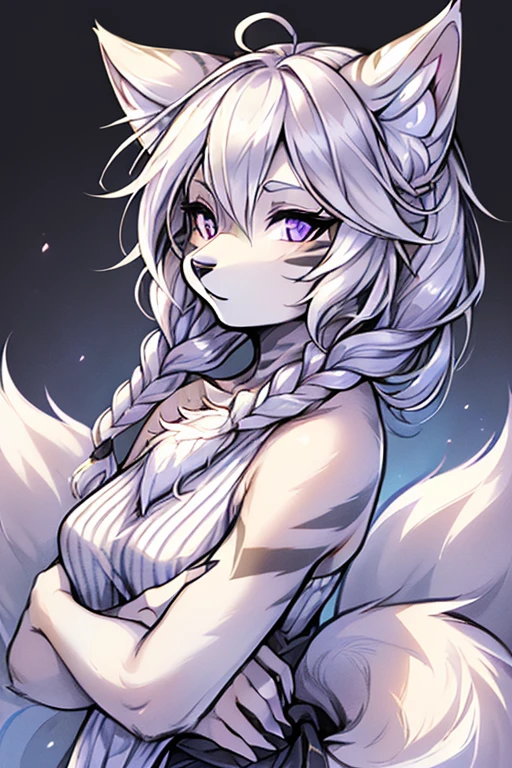 ( Absurdly , High quality , ultra detailed ) ,( hand detailed ) , 1girl, solo, mature, absurdres(highly detailed beautiful face and eyes)perfect ??????? Solo, Young Female white fox-cat (((lean-body))) (((medium breasts))) (short snout),(((fur (black stripe) between neck and shoulder towards chest))) ((fur (black stripes) on waist))(ears are darker), ((violet eyes)), (cat tail (black at end)), (white hair (single-braided)), ((Female wolf)) ((fox cat)), (detailed eyes), (clevedge, (collarbone, shoulders), (solo, (1girl)) ((((fluffy white fur)))), white hands, ((extremely detailed fur)) ((hair in face)) (big braid), (thin long tail) (extremely detailed eyes), white hands, multiple emotions, happy, barefoot 
