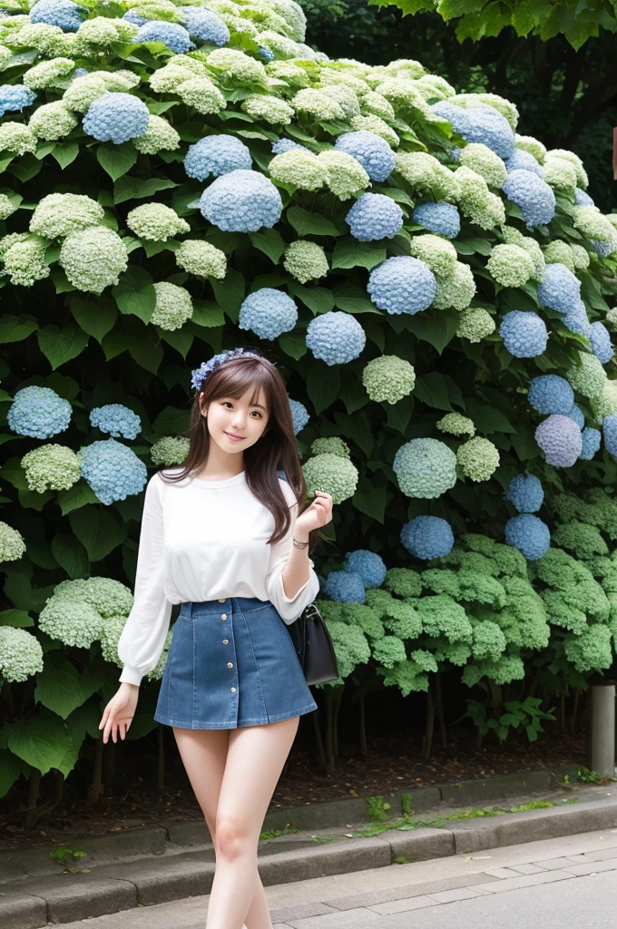 A 20-year-old girl wearing a miniskirt、In the hydrangea park。