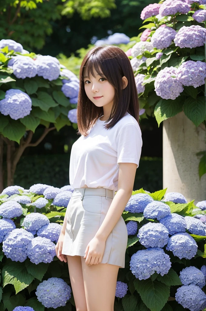 A 20-year-old girl wearing a miniskirt、In the hydrangea park。