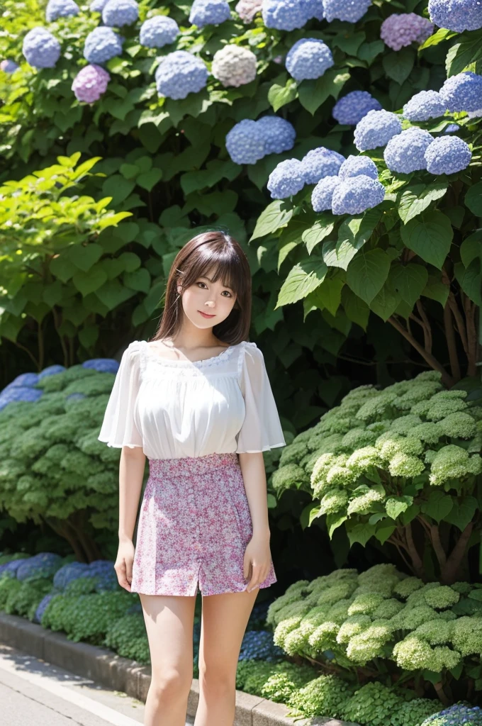 A 22-year-old girl wearing a miniskirt、In the hydrangea park。