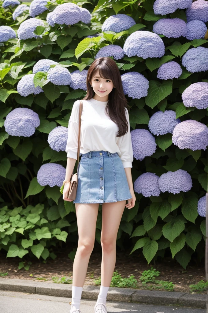 A 22-year-old girl wearing a miniskirt、In the hydrangea park。