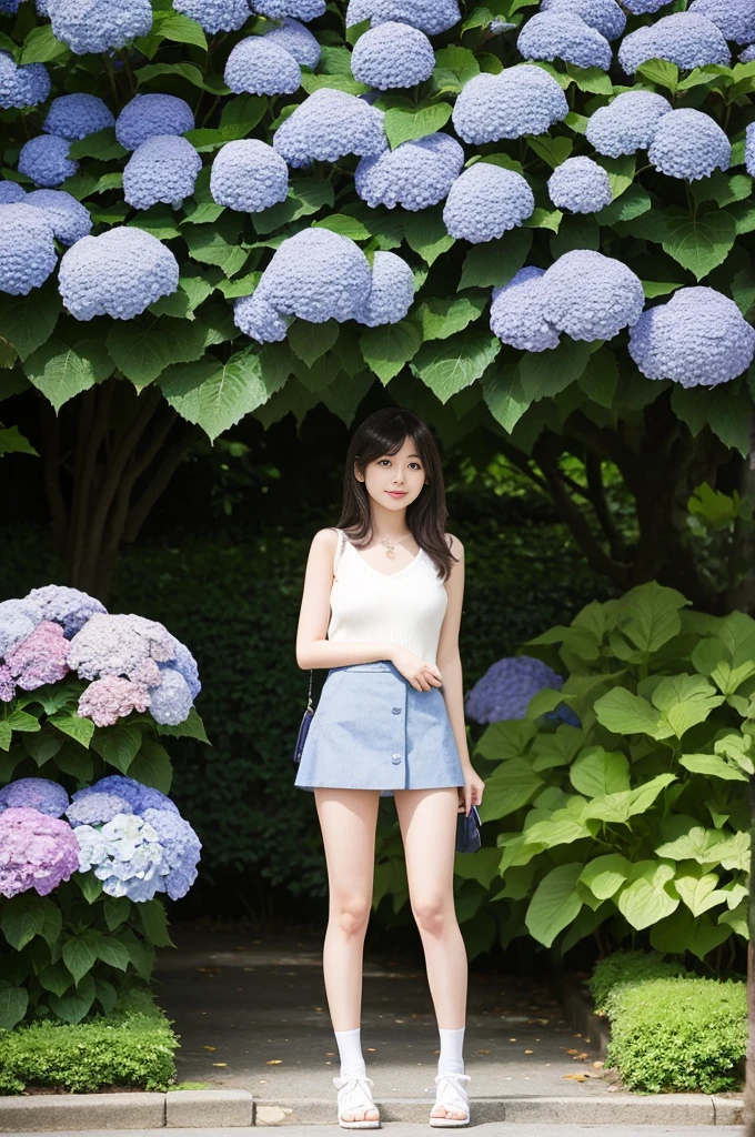 A 21-year-old girl wearing a miniskirt、In the hydrangea park。
