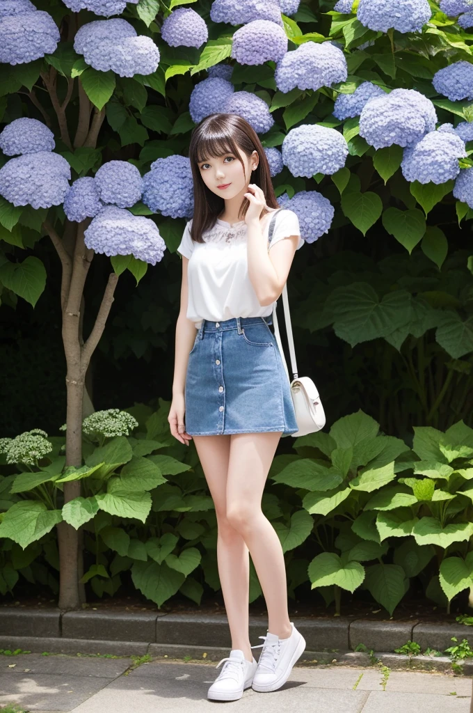 A 21-year-old girl wearing a miniskirt、In the hydrangea park。