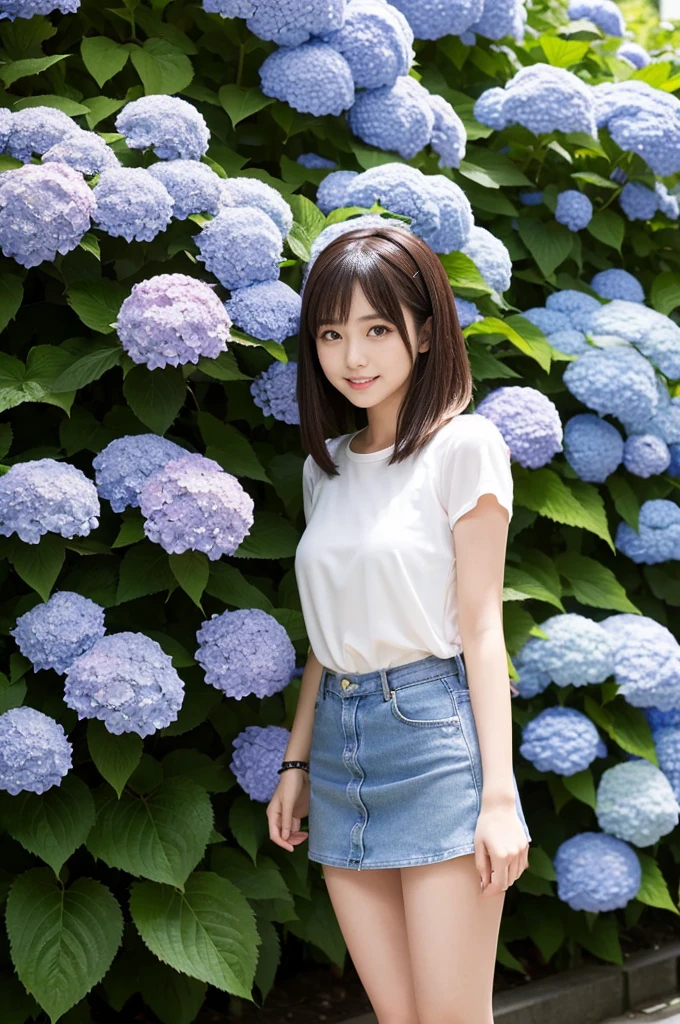 A 21-year-old girl wearing a miniskirt、In the hydrangea park。