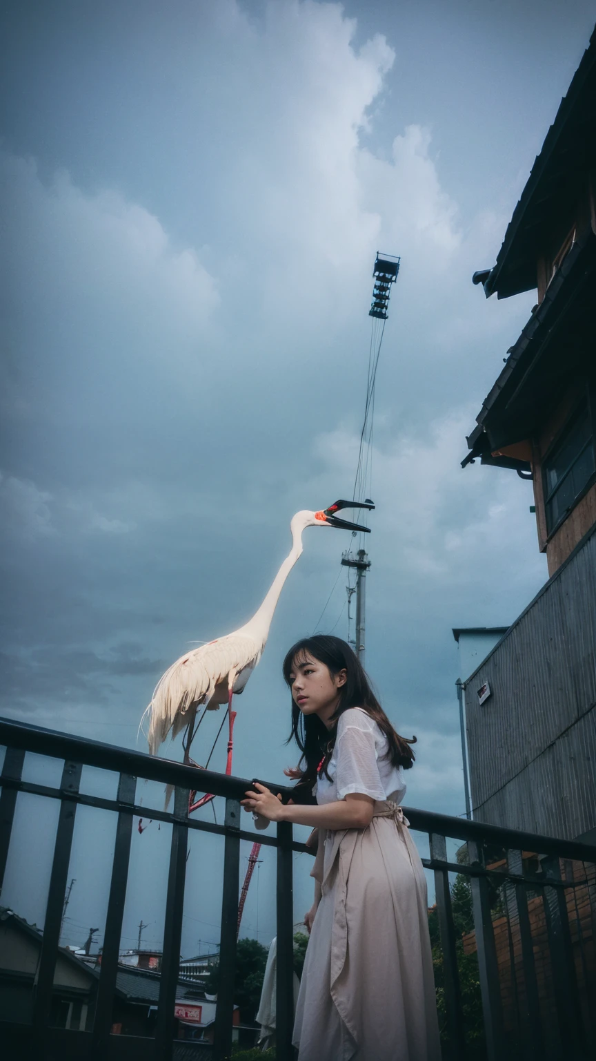 ((crane))、Rainy Sky、((1girl)),from below