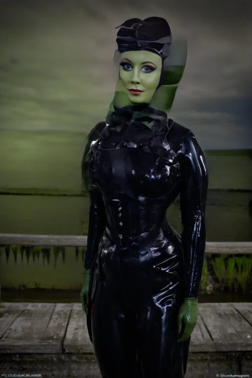 black latex , cinematic film still hera syndulla, (green skin:1.2), grin at canal, full body shot, highly detailed environment . shallow depth of field, vignette, highly detailed, high budget Hollywood movie by baz luhrmann, bokeh, cinemascope, moody, epic, gorgeous, film grain, grainy
