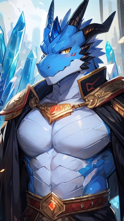 Male, anthro, Kemono, (dragon), blue body, golden eyes, detailed eyes, sorcerer, bara, wearing red sorcerer clothing, a crystal stuck in chest, half length portrait by kiyosan, zackary911.