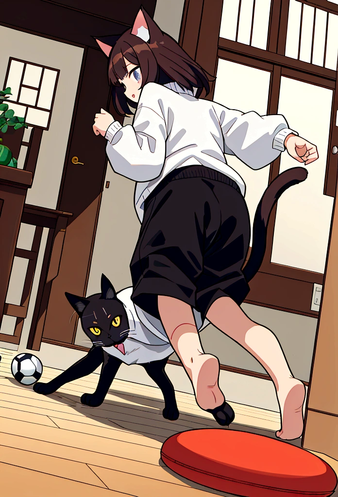 Cat playtime:The owner is playing with the cat using a cat toy or ball。A cat jumping and running around。
