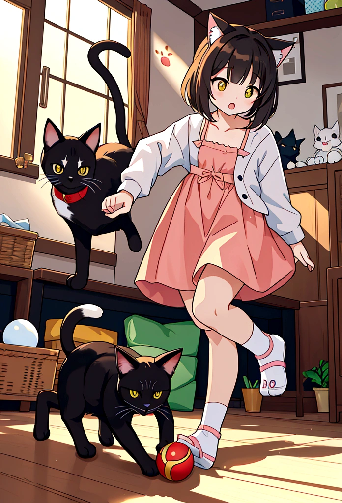 Cat playtime:The owner is playing with the cat using a cat toy or ball。A cat jumping and running around。