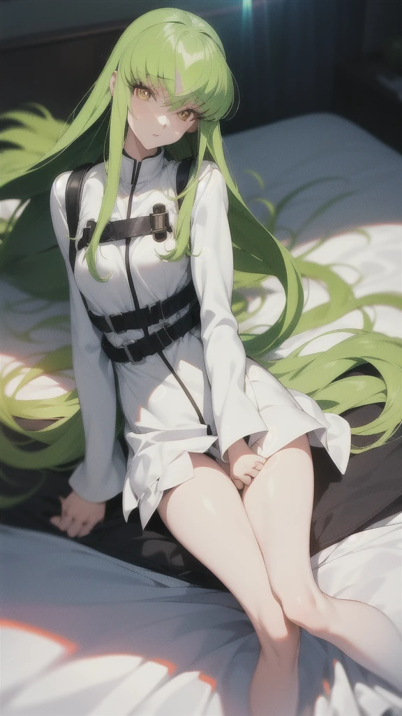 c.c., Expressionless, (Look at other people:1.1), (Lie in:1.2), On the floor, Focus Only, From above,
Long sleeve,  white lace panties,
Orange eyes, Green Hair, Very long hair, (White straitjacket:1.6), Black belt, 
mksks style, Beautiful background, (chromatic aberration,  Lens flare, indoor, bedroom, bed sheet, bed, Particles of light, Holographic interface:1.2) ,
break masterpiece ,8k unity wallpaper,anime key visual,highest quality, High resolution,  (shape:0.8),anime coloring,
highly detailed face, detailed eyes,growing eyes,shiny skin,fine skin,white skin,dense skin,detailed hair,highly detailed legs,
perfect lighting, Detailed CG, 
(perfect hands, perfect anatomy),High resolution,
Break slender limbs, delicate curves, dainty hands,figure:0.8,