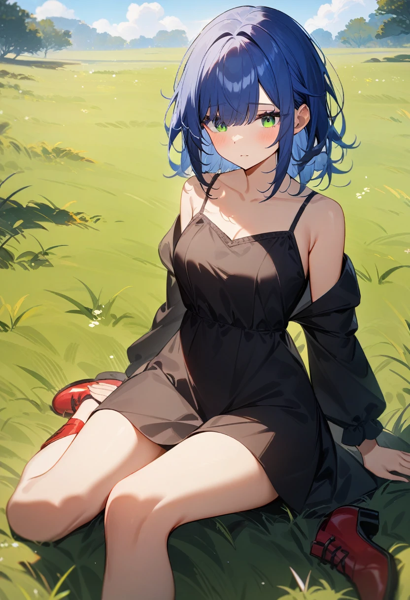 1girl, medium breasts, short and messy hair, messy bangs, hair over eyes, blue hair, green eyes, black dress, sitting, red shoes, temperate grassland, masterpiece quality, ultra HD, 4K, best quality, 