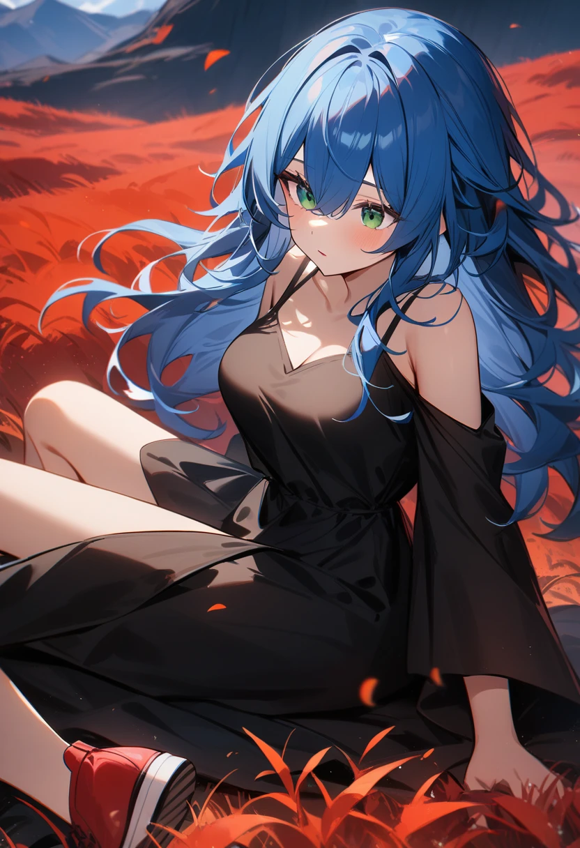 1girl, medium breasts, long and messy hair, messy bangs, hair over eyes, blue hair, green eyes, black dress, sitting, red shoes, temperate blue grassland, masterpiece quality, ultra HD, 4K, best quality,