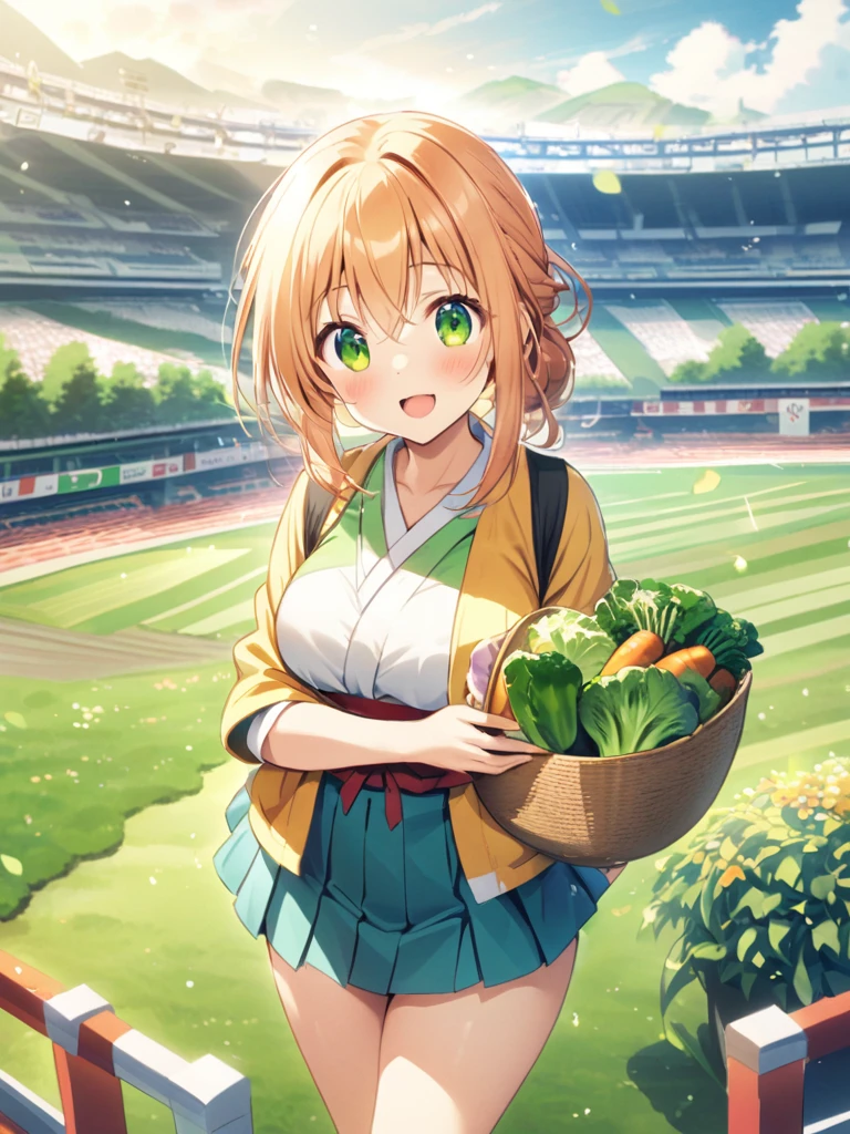 Japanese landscape、stadium、vegetable、harvest girl、Asahi、cute