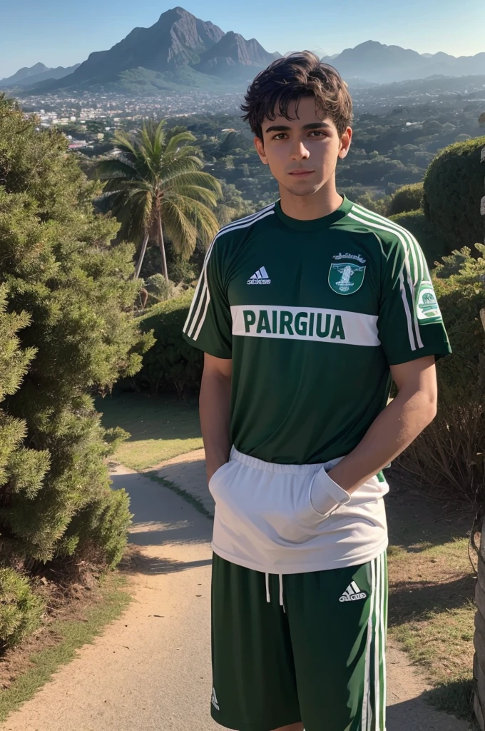 Half-Brown with Palmeiras shirt at Christmas In front of a landscape