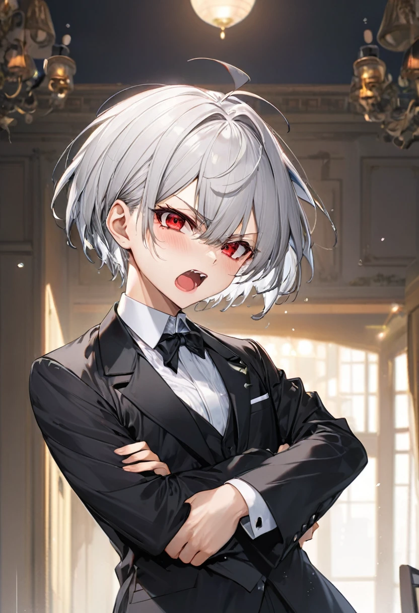 (angry:1.3 style) (wide open mouth), ( yo, solo crew cut silver hair very short hair divine boy, angry red eyes wide open, angry:1.5 face, flat chest), (in a butler suit), break, (background is Diet scene), BREAK, perfect anatomy, masterpiece, best quality, 16k, beautiful detailed body, daydreaming expression.