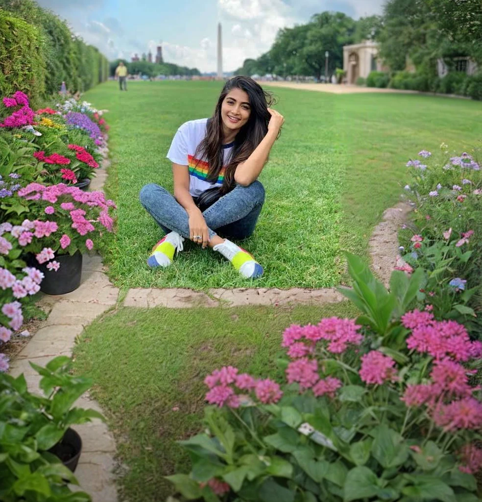 Big garden, bridgr