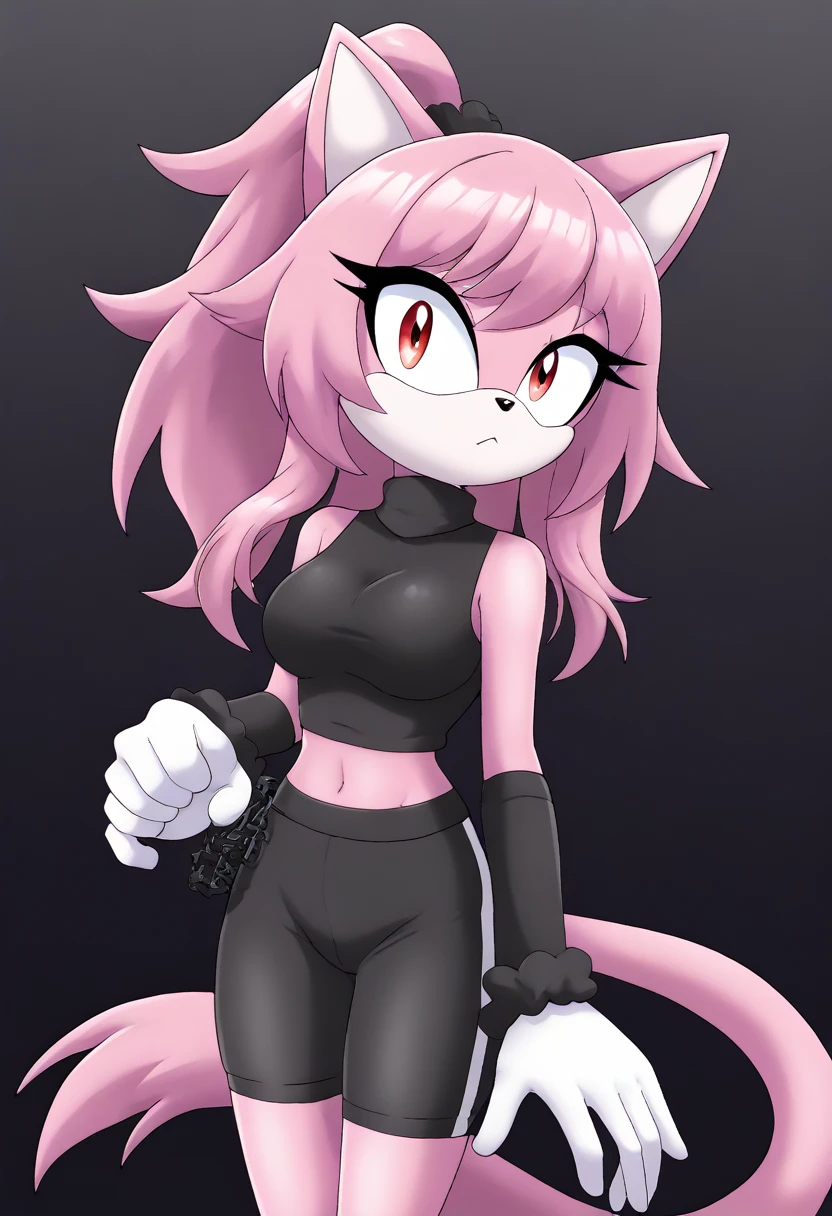 (1girl), (solo), Female Cat, pink fur, pink hair, long ponytail, black scrunchie, large hair bangs, (side locks/quills over shoulders), red eyes, (medium breasts), (black sleeveless top), turtleneck, ((black yoga shorts)), white gloves with black cuffs, black arm warmers, eyelashes, tough expression, daytime, mobian, mobius city
