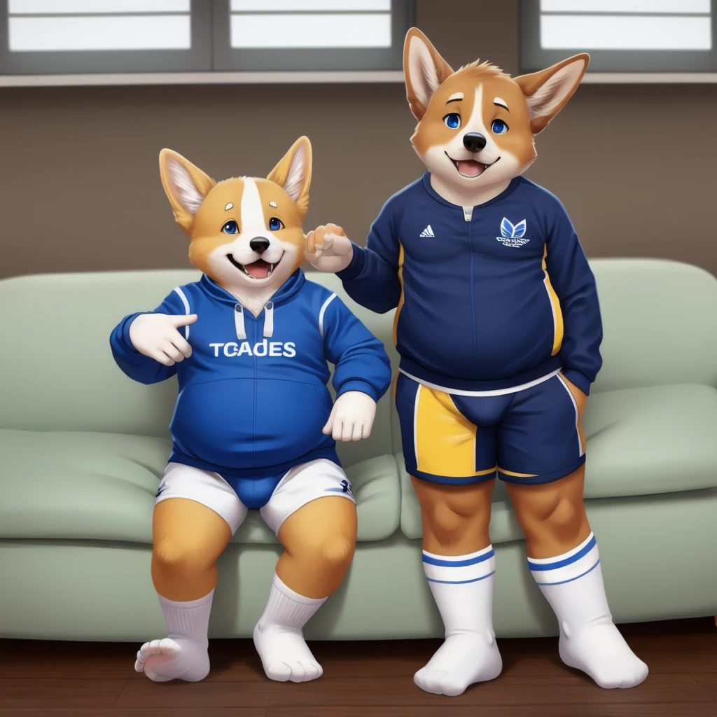 a slightly chubby young male corgi, blue eyes, no eyebrows, wearing a dark blue Adidas tracksuit, no pants white briefs, white socks, white hands five finger, holding shirt , spread toes