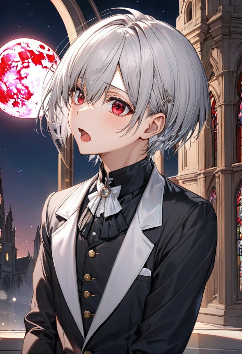 (profile:2 close-up face), (( yo)), (solo:2 crew cut silver hair very short hair divine cool boy, detailed red eyes, Confusion face, flat chest), break, (open mouth), (in a butler suit), break, (in the Chapel Terrace), (background detailed biggest pink moon), BREAK, perfect anatomy, masterpiece, best quality, 16k, beautiful detailed night, daydreaming expression.